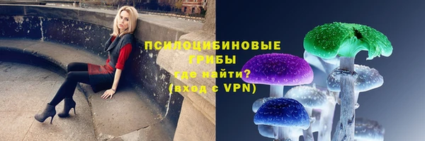 сатива Аркадак