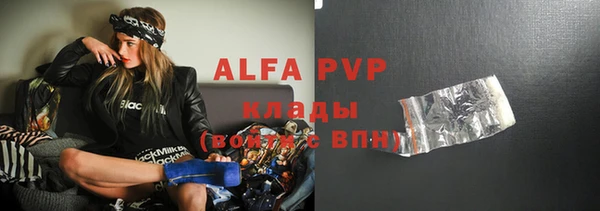 сатива Аркадак