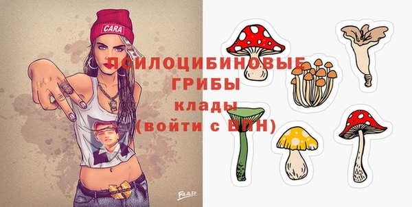 сатива Аркадак