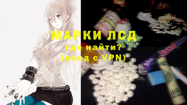 сатива Аркадак