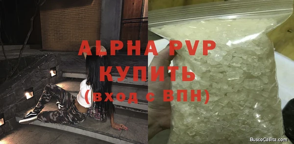 сатива Аркадак