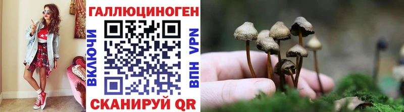 Псилоцибиновые грибы прущие грибы  сколько стоит  Копейск 